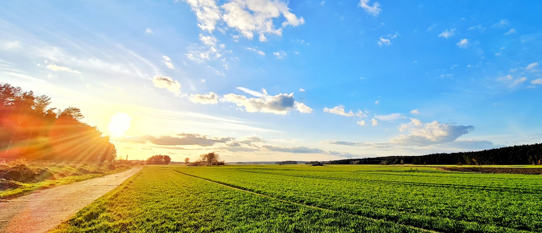 Foto: Jennifer Müller - Frühlingsabend-Spaziergang mit meinem Liebsten. Tolles Wetter, herrliche Landschaft, grandiose Licht-Stimmung und das große Glück an meiner Seite... PERFEKT!!! 