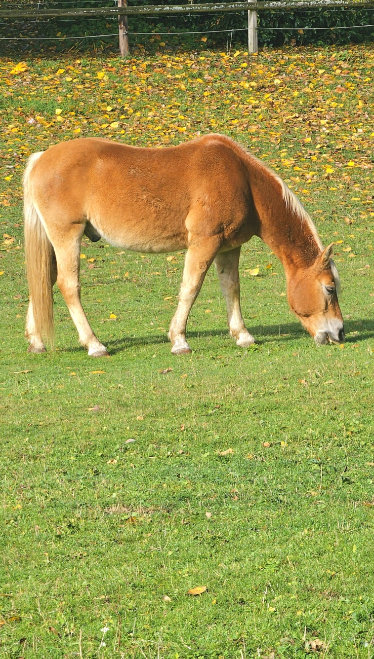Einfach mal in Ruhe schlemmern...
