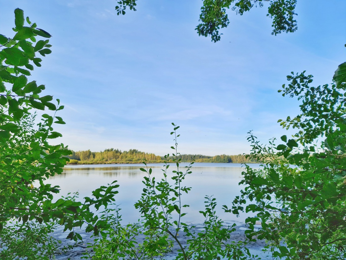 Foto: Jennifer Müller - Der Obersee (großer Rußweiher) in Eschenbach. Ein sehr sehenswertes Naturschutzgebiet in der Oberpfalz mit vielen verschiedenen Vogelarten und einer großartigen Landschaf 