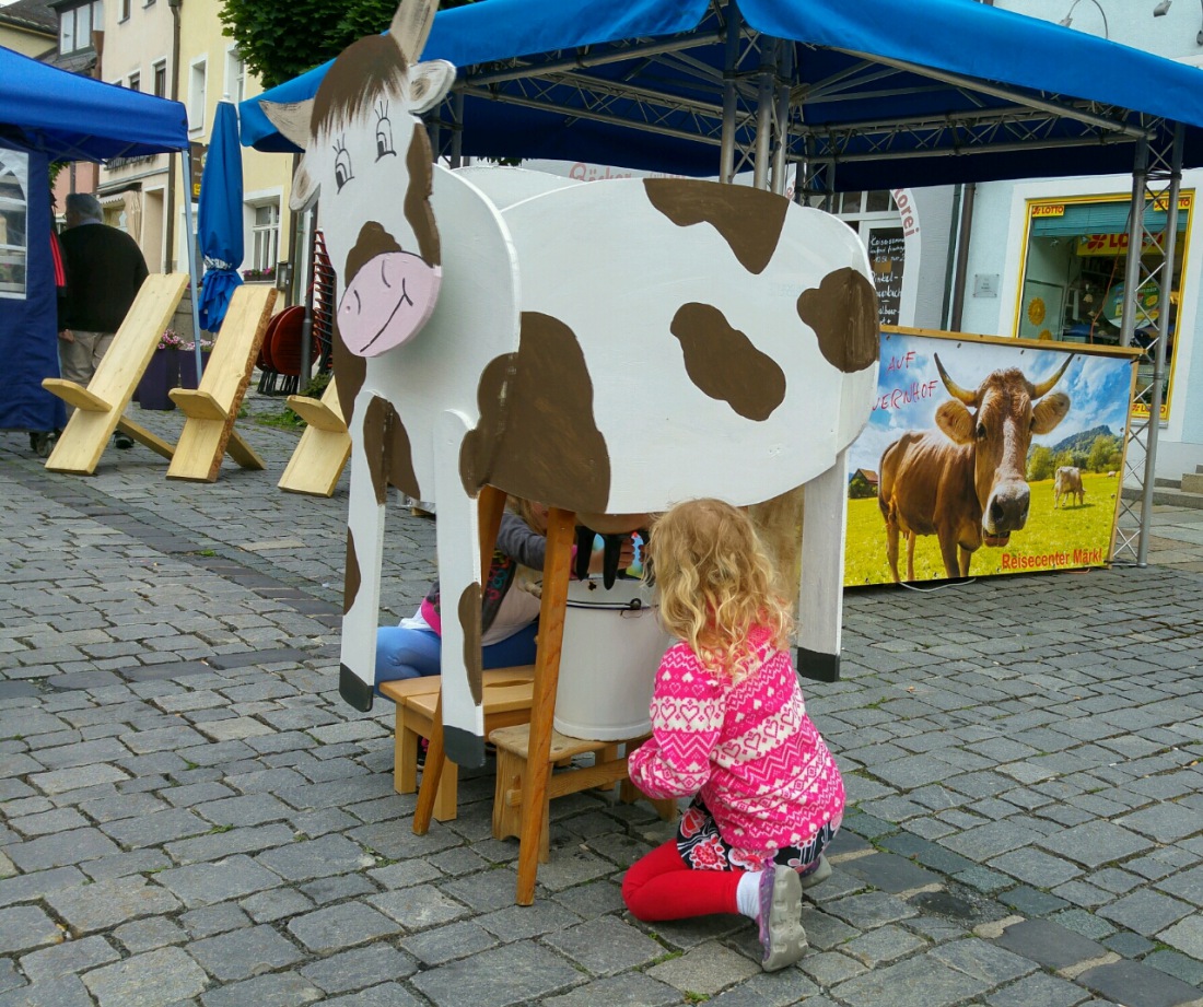 Foto: Martin Zehrer - Bauernmarkt in Kemnath. Die Kinder liebten die Kuh vor Maerkels Reisecenter. Das Euter zog die Blicke der kleinen Nachwuchsbauern auf sich und natuerlich wurde auch gleic 