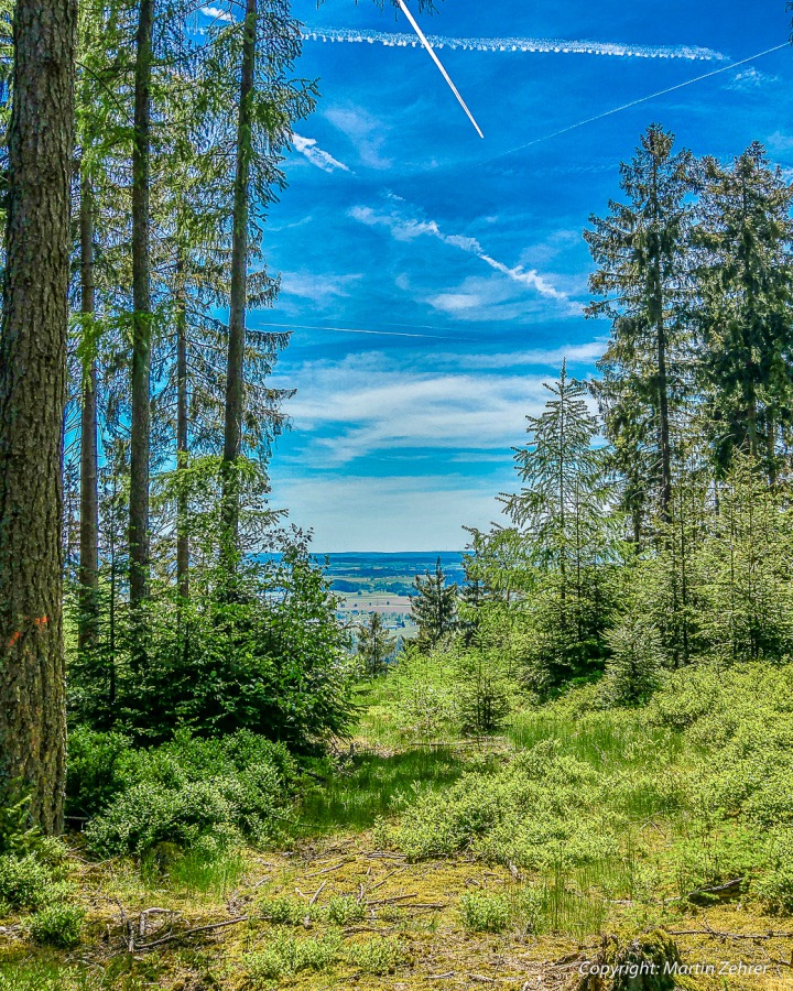 Foto: Martin Zehrer - Oben angekommen... Auf dem Berg-Kamm angekommen, konnte man übers Land in Richtung Immenreuth, Lenau und noch viel weiter, blicken.<br />
<br />
Abkürzung: Ein Feldweg kurz vor Her 