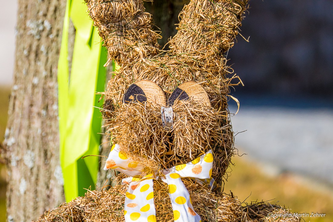 Foto: Martin Zehrer - Osterhase in Ebnath :-) 