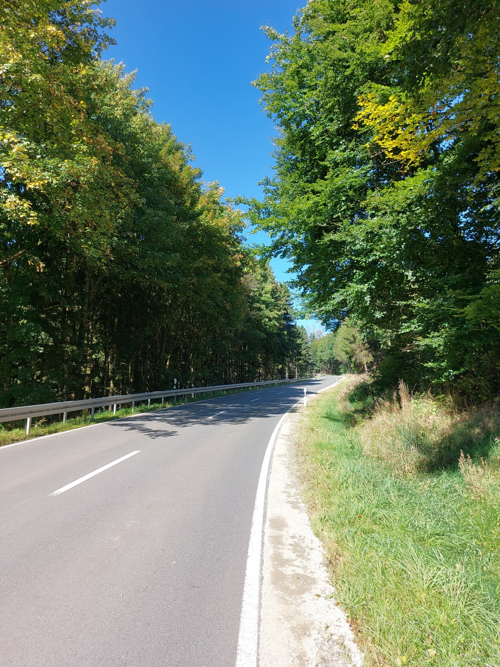 Foto: Martin Zehrer - Bei einer herrlichen Radrundfahrt zum malerische Godas hoch, könnte man fast meinen, hier sei die Natur extra auf ein Date mit dir aufgebrochen! <br />
Der asphaltierte Weg sc 
