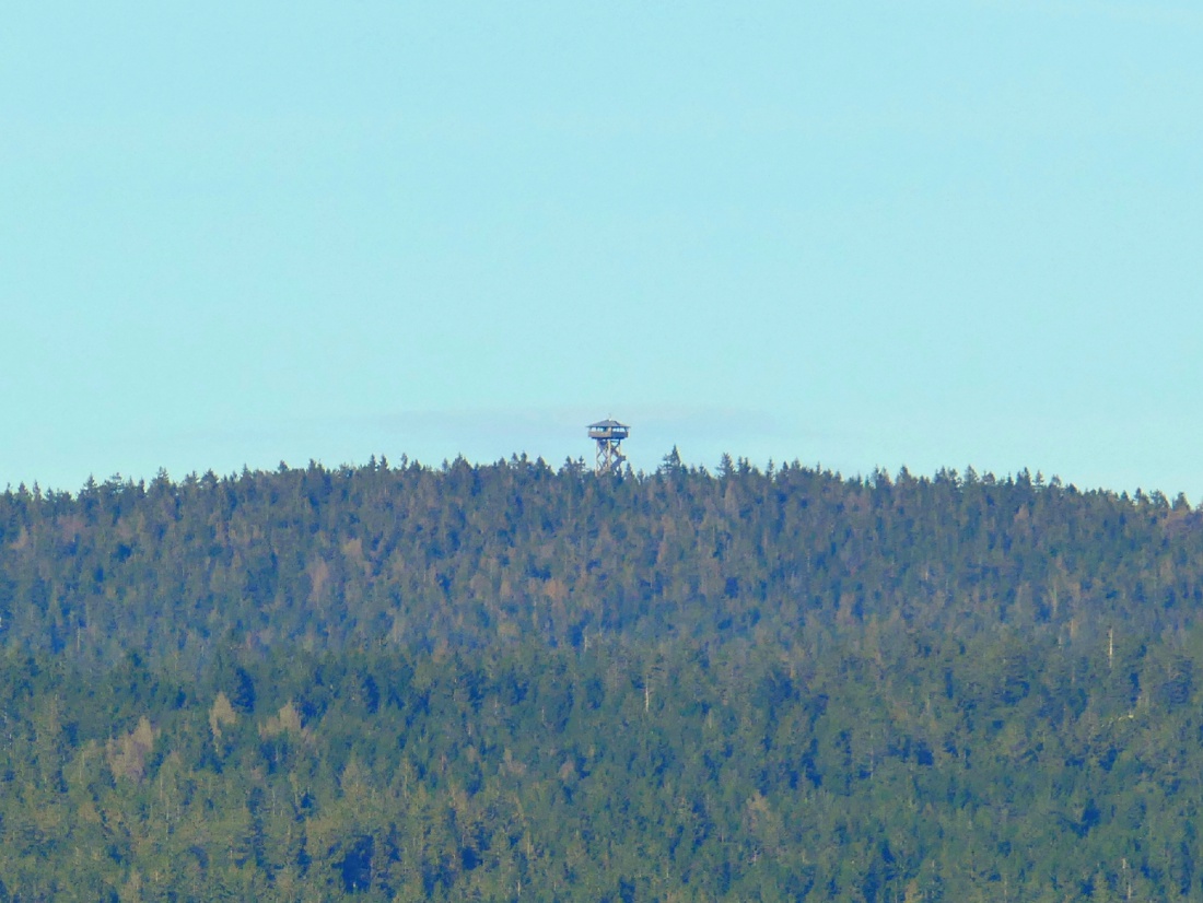 Foto: Martin Zehrer - Der Oberpfalzturm ragt aus dem Steinwald heraus... 