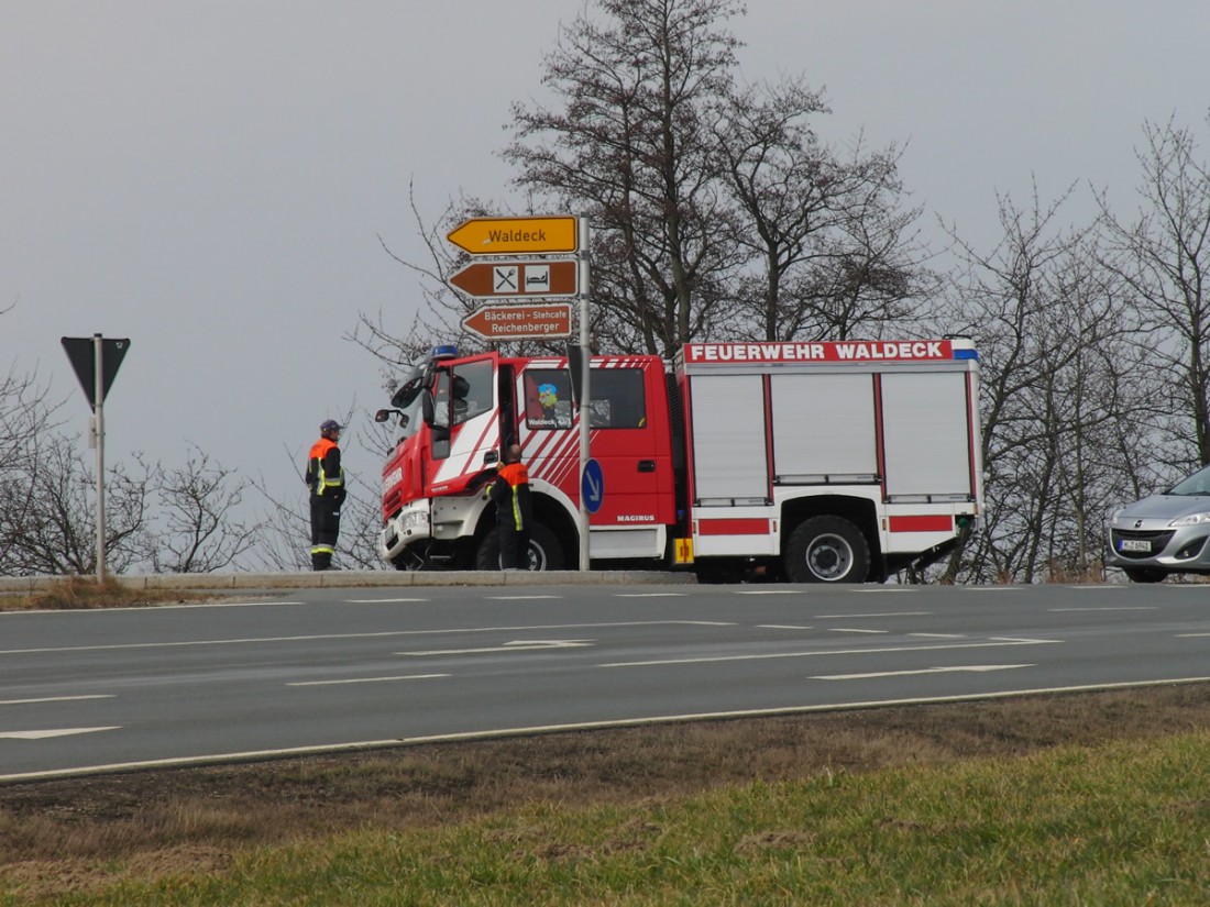 Foto: Martin Zehrer - Sie machen dass alles passt ;-) Die Feuerwehr regelt den Verkehr, sorgt für Ordnung auf den Parkplätzen beim Waldecker Faschingszug 