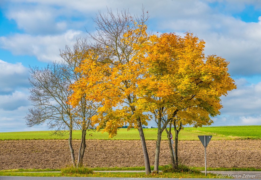 Foto: Martin Zehrer - Der Herbst - Fast fertig! 