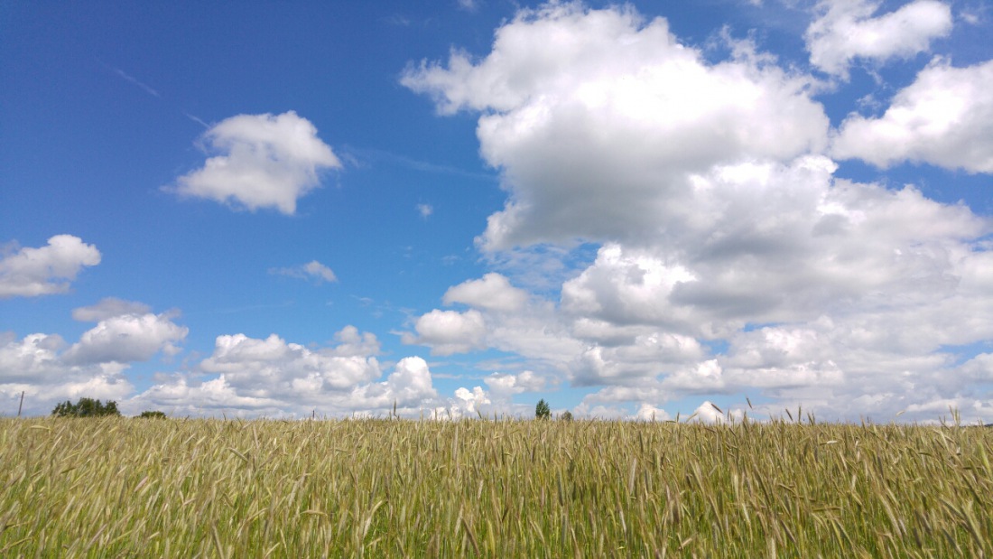 Foto: Martin Zehrer - Was fuer ein wunderschoener Tag war es doch gestern, am 18. Juni 2016. Die Wolken wechselten sich mit der Sonne ab, der Landschaft wurde durch das stedig Spiel zwischen L 