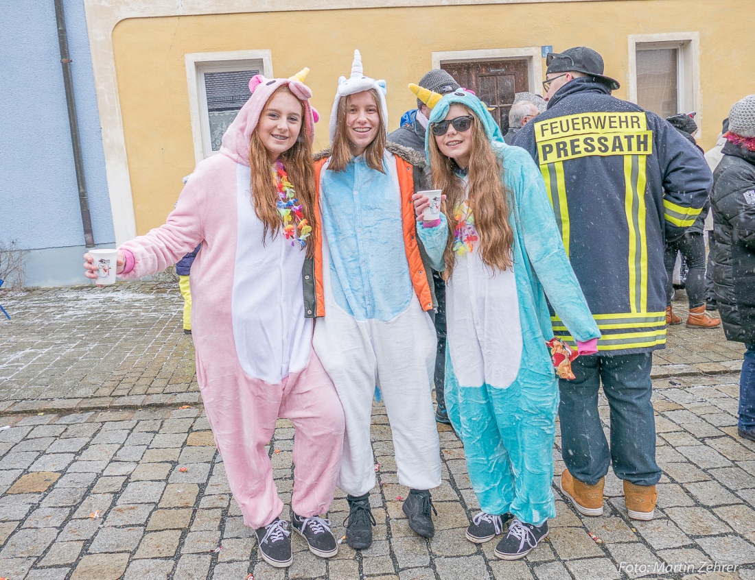 Foto: Martin Zehrer - Gaudi, Gaudi, Gaudi!!! Faschingszug des WCV durch Waldeck am 11. Februar 2018!  