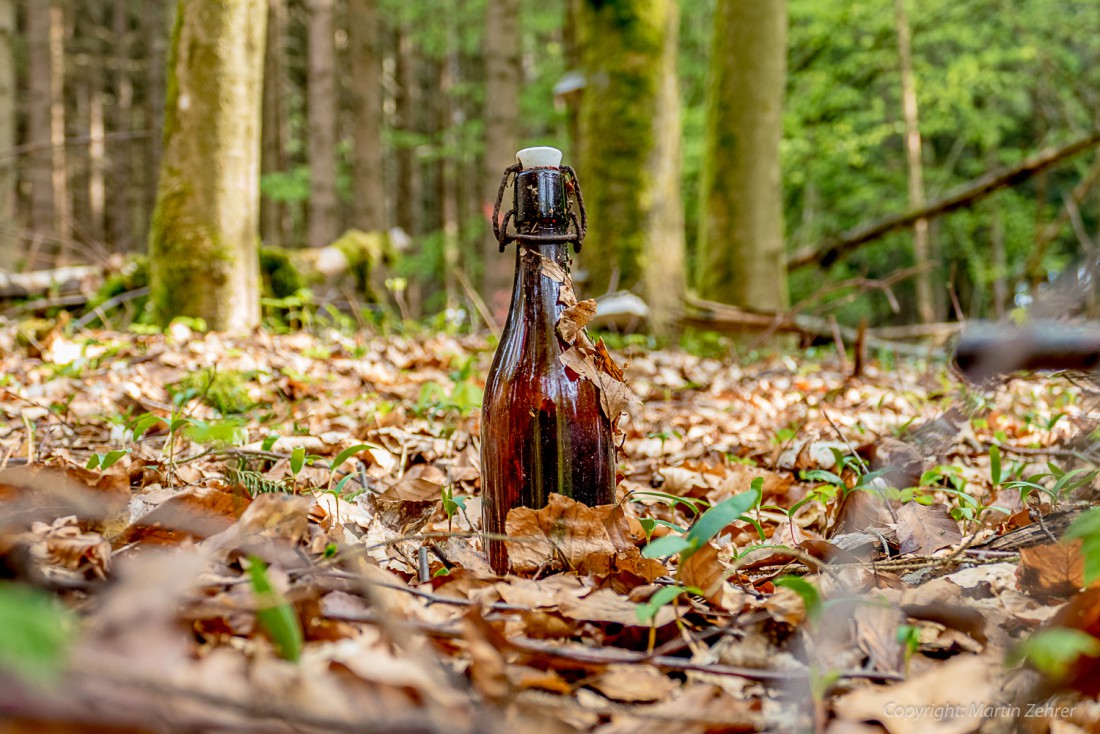 Foto: Martin Zehrer - Beim Wandern entdeckt: Eine alte Flasche im Wald bei Godas gefunden. Markant der früher übliche Bügelverschluss. Gefunden im Helmes-Wald bei Godas am Fuße des Steinwaldes 