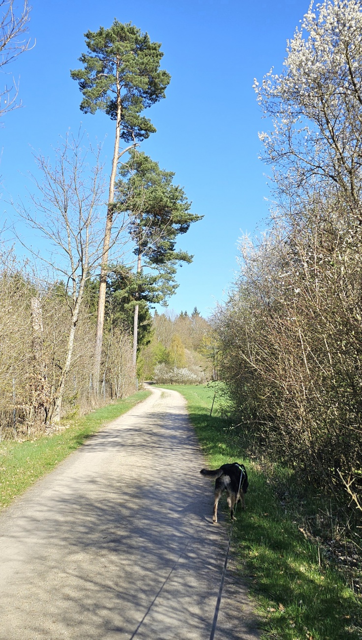 Finde den wunderbaren Vito...