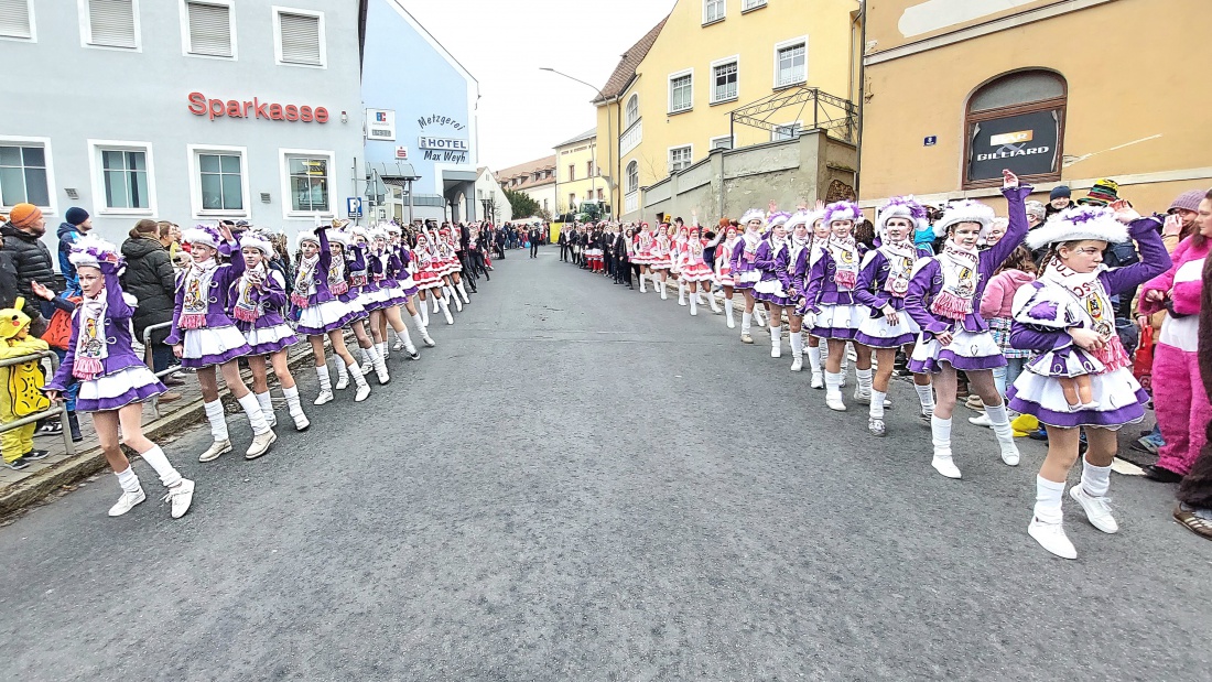 Faschingszug Pressath 2026