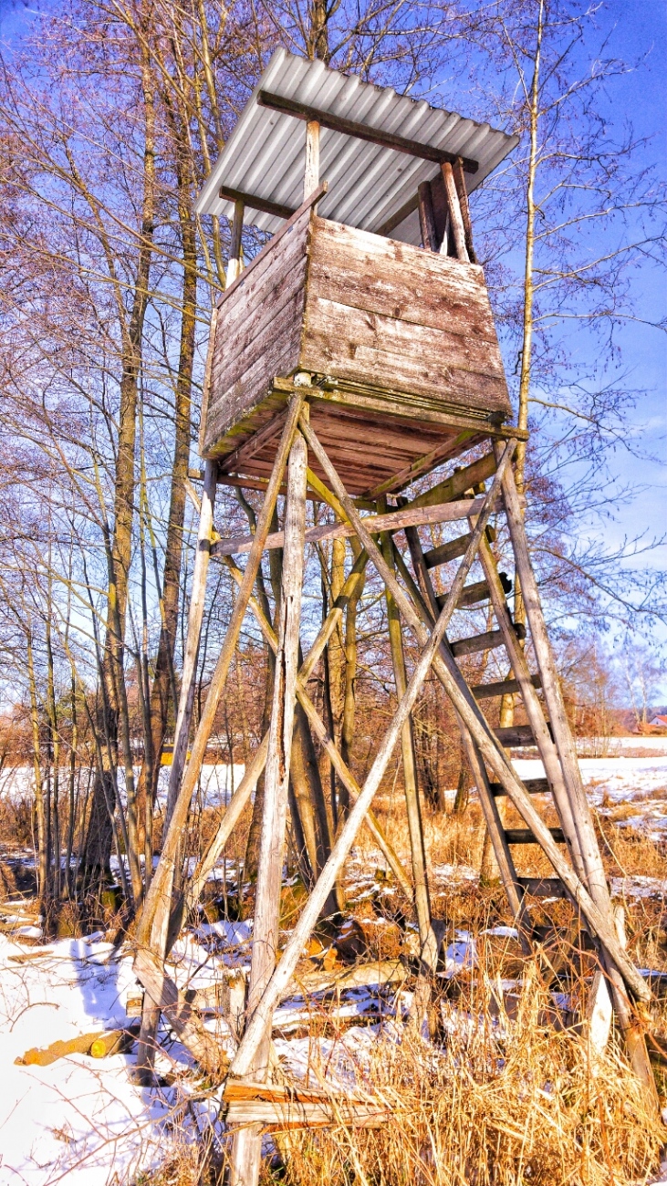 Foto: Martin Zehrer - Am kulmainer Stausee... Die vergangene Nacht hatte es ca. minus 8 Grad, das Wetter heute ist gigantisch. <br />
Wer hier her kommt, erlebt ein kleines Stückchen Paradies.<br />
Es  