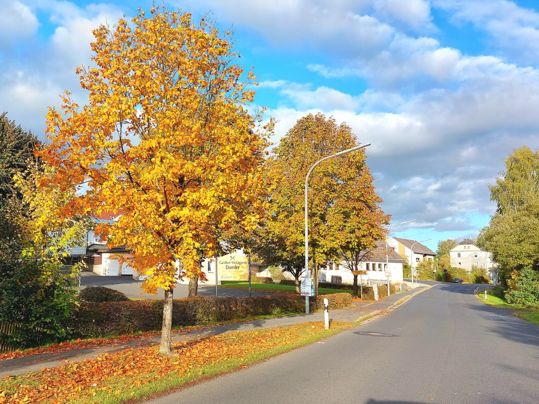 Foto: Martin Zehrer - Herbstfarben in Neusorg... 