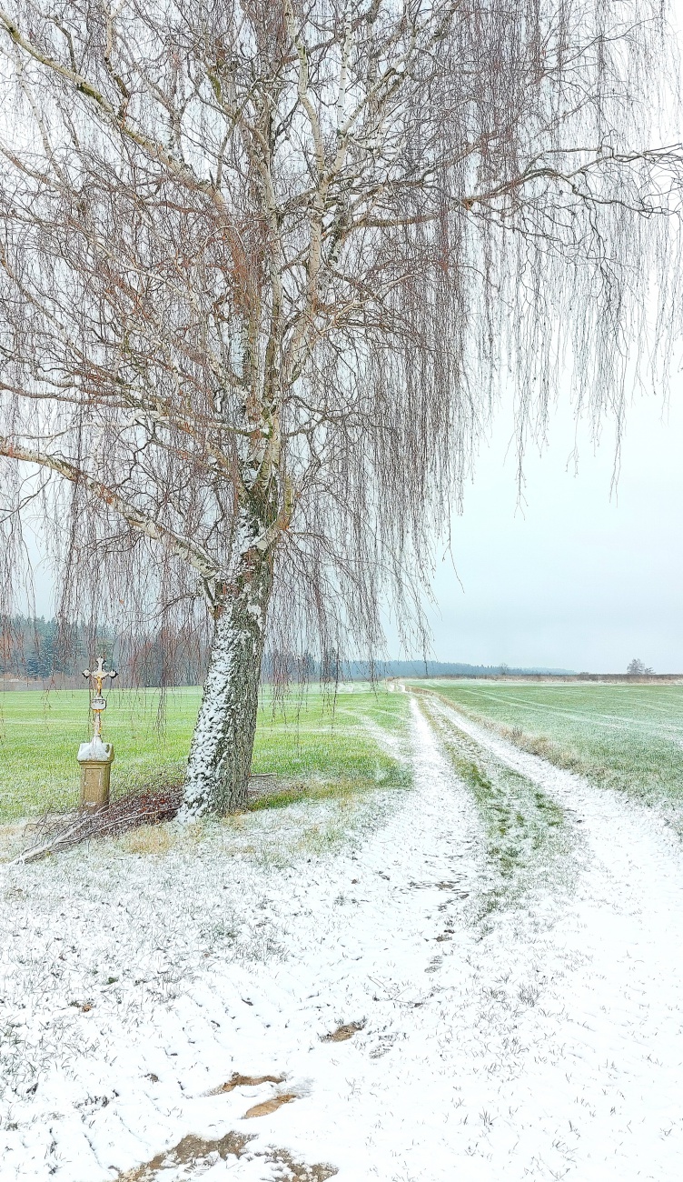 Foto: Martin Zehrer - Endlich Schnee... Winter zwischen Neusorg und Pullenreuth. 