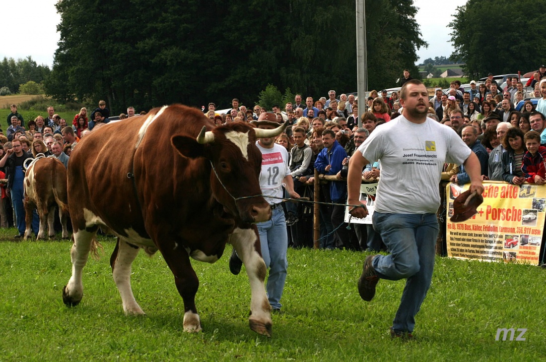 Foto: Thomas Zehrer - Ochsenrennen in Selbitz 2006<br />
<br />
Vorstellung der Renn-Teams vor dem Rennen...<br />
 