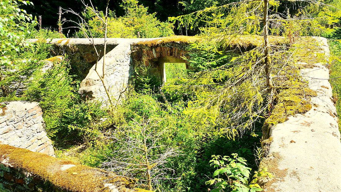 Foto: Martin Zehrer - Zissler-Haus, Ruine eines alten Bauernhauses im Zissler-Wald zwischen Godas und Zwergau....<br />
23. August 2020 