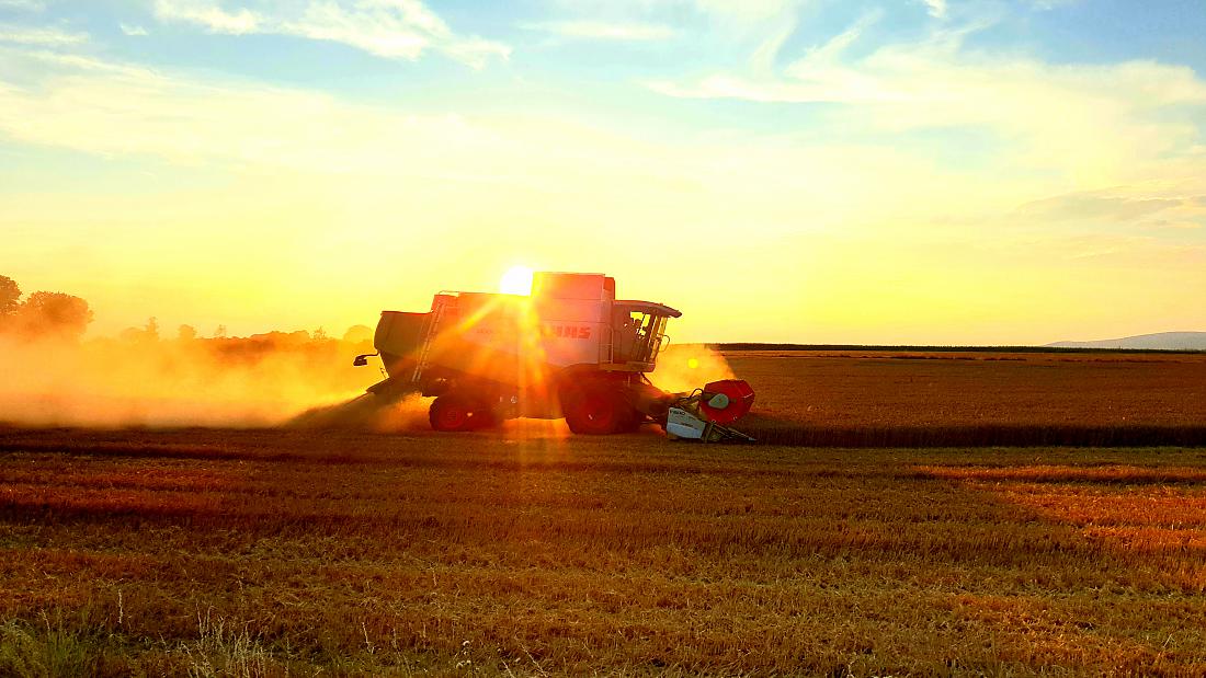 Foto: Martin Zehrer - 11. August 2020... es staubt ganz schön beim Dreschen.<br />
Die letzten Tage stiegen die Temperaturen meist über 30 Grad. Erste Gemeinden klagen über zu wenig Trinkwasser im  