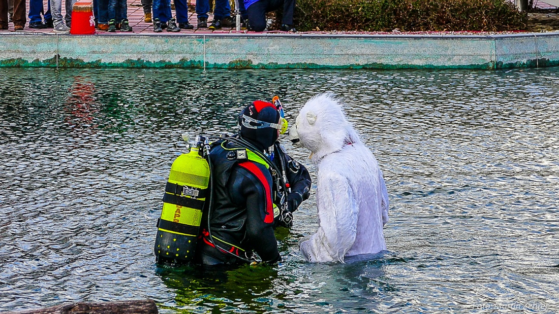 Foto: Martin Zehrer - Letzte Besprechung kurz vorm Neujahrsschwimmen im Freibad Immenreuth. 