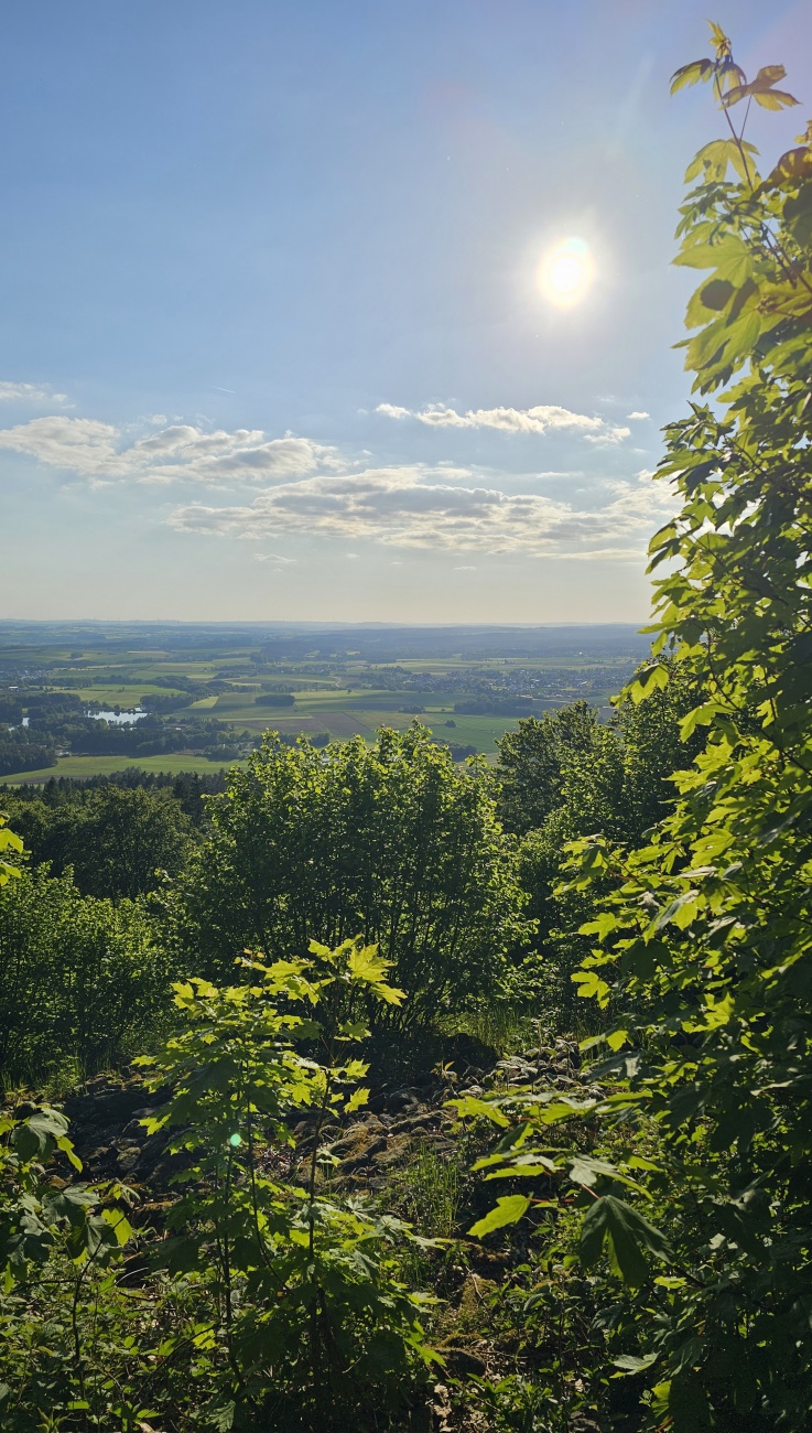 Einfach mal zur Rückseite des Armesbergs hochlaufen.
Dort findet man eine Ruhe-Bank und wird aus dem Wald heraus mit diesem paradiesischen Ausblick belohnt.