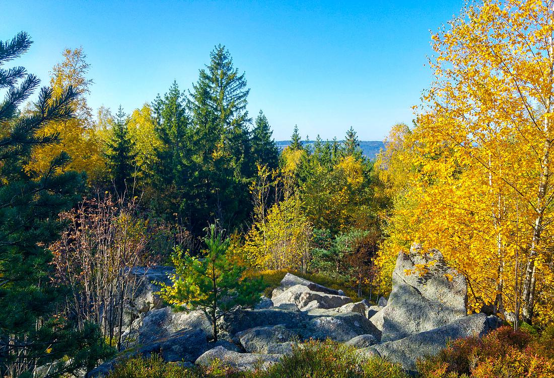 Foto: Martin Zehrer - Vormittags-Wanderung in den Steinwald. Der goldene Herbst ist mit ca. 22 Grad Temperatur, blauem Himmel und kräftigen Sonnenschein zurück...<br />
<br />
13.10.2019 