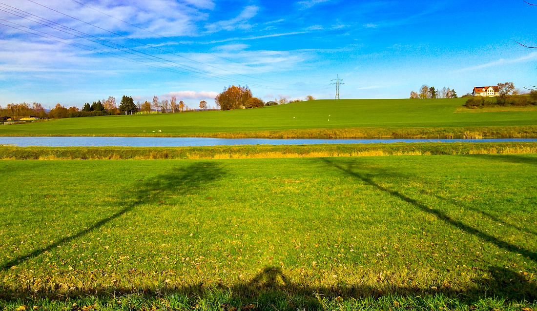 Foto: Martin Zehrer - Fast Frühling am 23. November 2019 