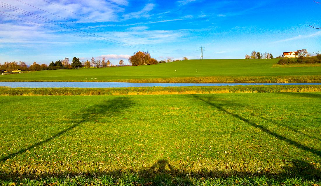 Foto: Martin Zehrer - Fast Frühling am 23. November 2019 