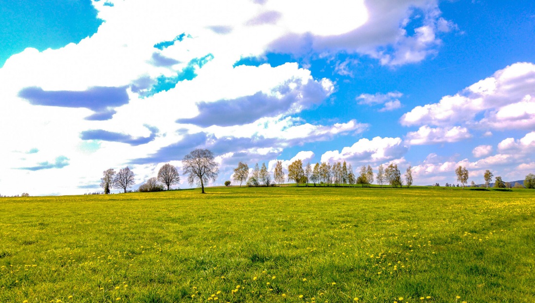 Foto: Martin Zehrer - Vatertags-Wetter am 5. Mai 2016 - gigantisch 