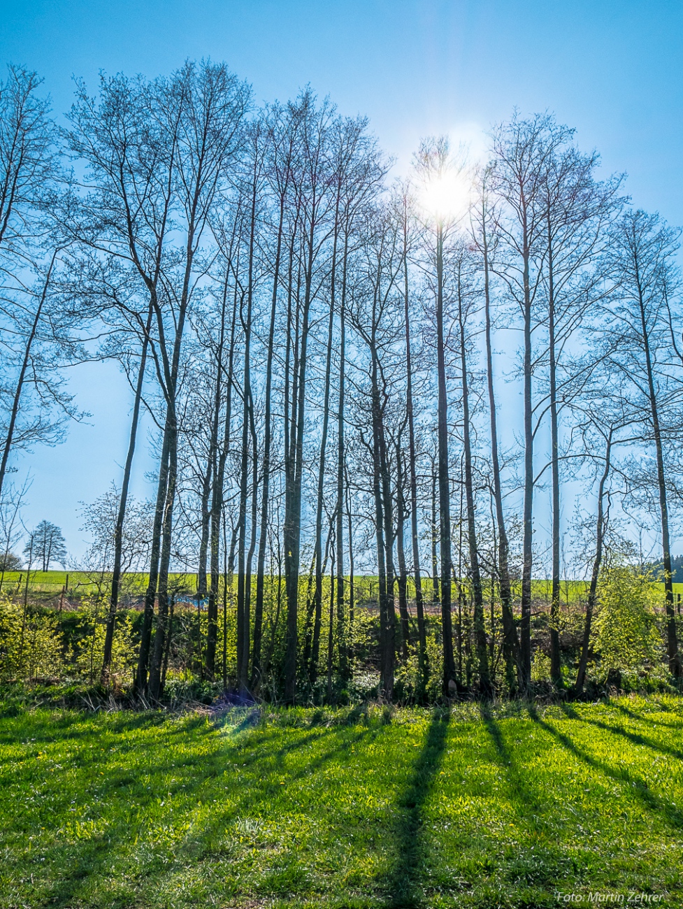 Foto: Martin Zehrer - Schatten-Wurf! Die Sonne, der blaue Himmel und die langen Baumschatten liefern traumhafte Kontraste.<br />
<br />
Wandern zur Tauritzmühle am Karfreitag 2019... 