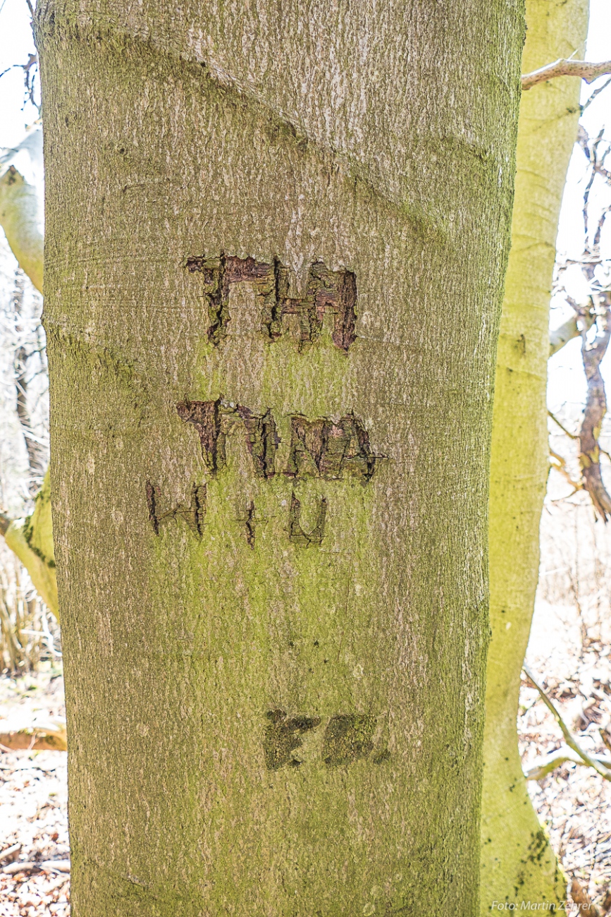 Foto: Martin Zehrer - Geheime Botschaften im Armesberg-Wald... :-)<br />
Kann jemand darüber Auskunft geben?<br />
<br />
Samstag, 23. März 2019 - Entdecke den Armesberg!<br />
<br />
Das Wetter war einmalig. Angenehm 