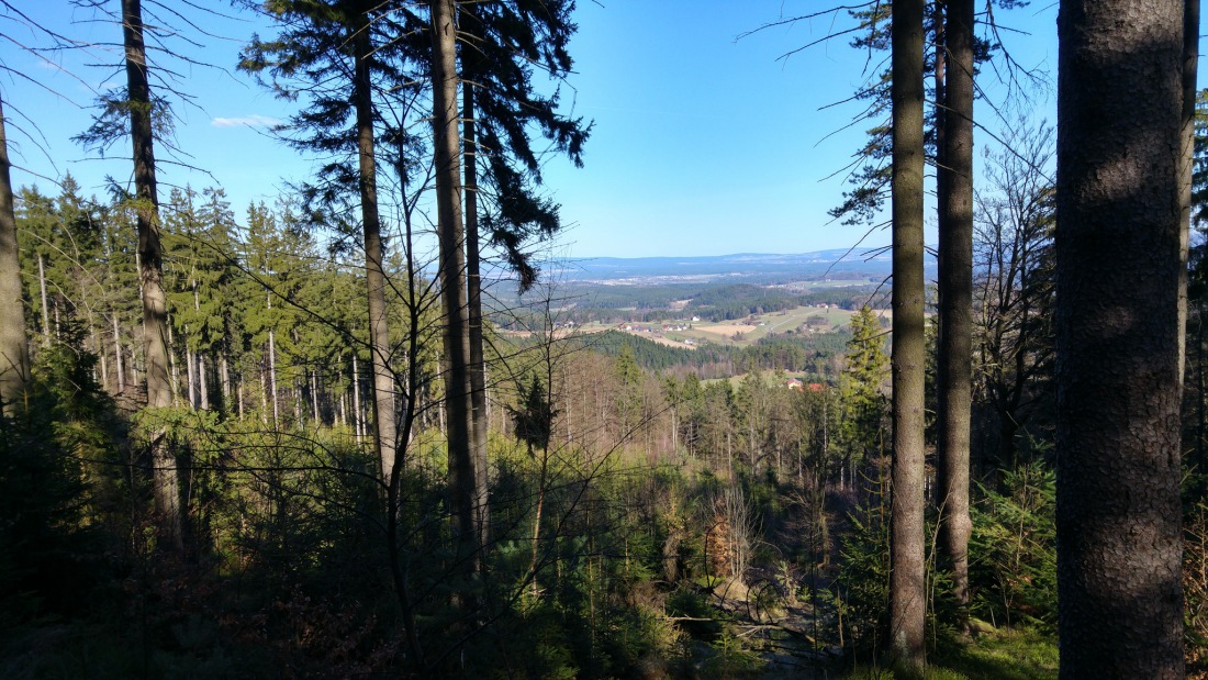 Foto: Martin Zehrer - Aussicht beim Wandern durch den Steinwald... 