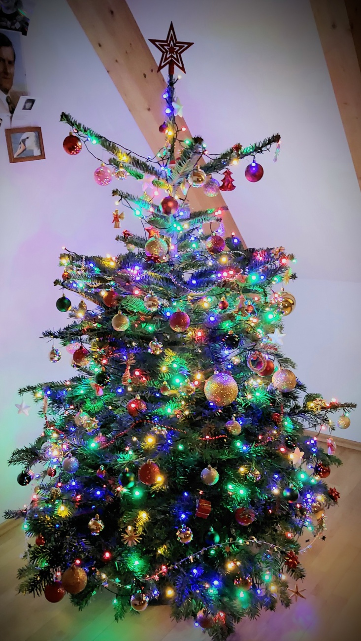 Foto: Martin Zehrer - Frohe Weihnachten E. und U. :-)<br />
Unser Weihnachtsbaum.. 