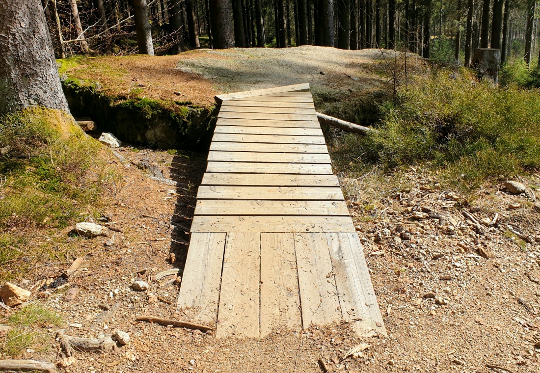 Foto: Martin Zehrer - Viel Geschick ist am Ochsenkopf gefragt.<br />
Gefunden auf der Downhillstrecke am Ochsenkopf... 