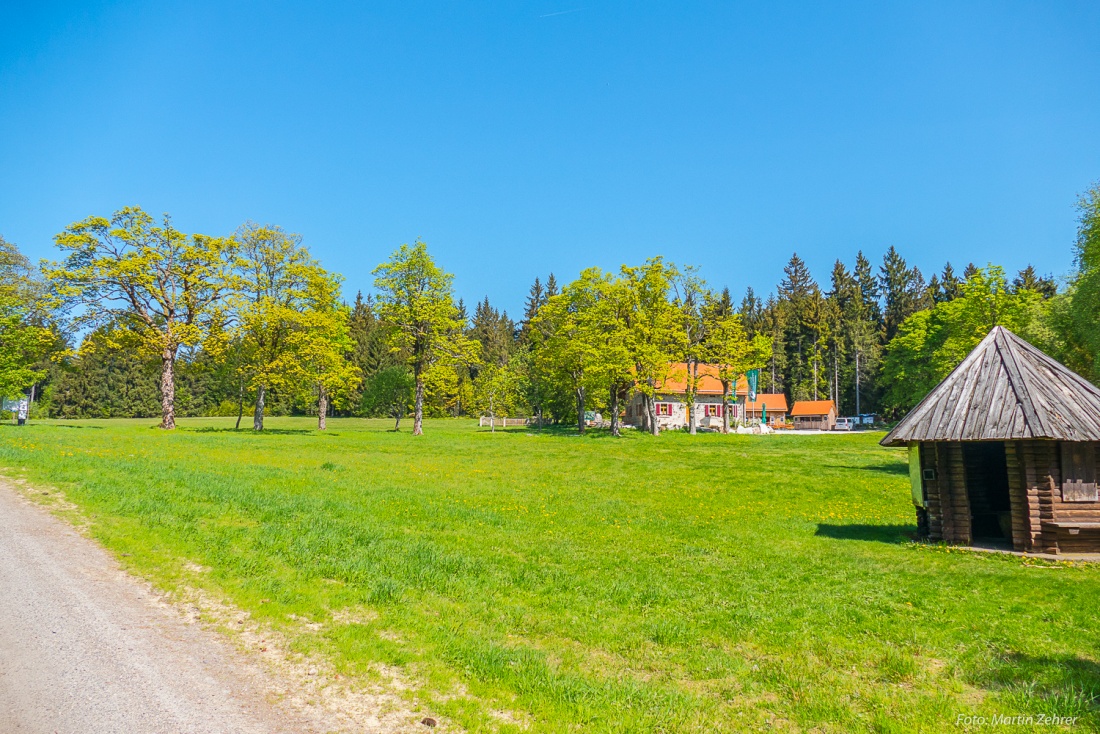 Foto: Martin Zehrer - 2 Kilometer nachdem wir den Parkplatz bei Pfaben im Steinwald verlassen hatten, erspähten wir diese Lichtung. Hinten ist das WALDHAUS zu erkennen. Dort lässt sich gut pau 