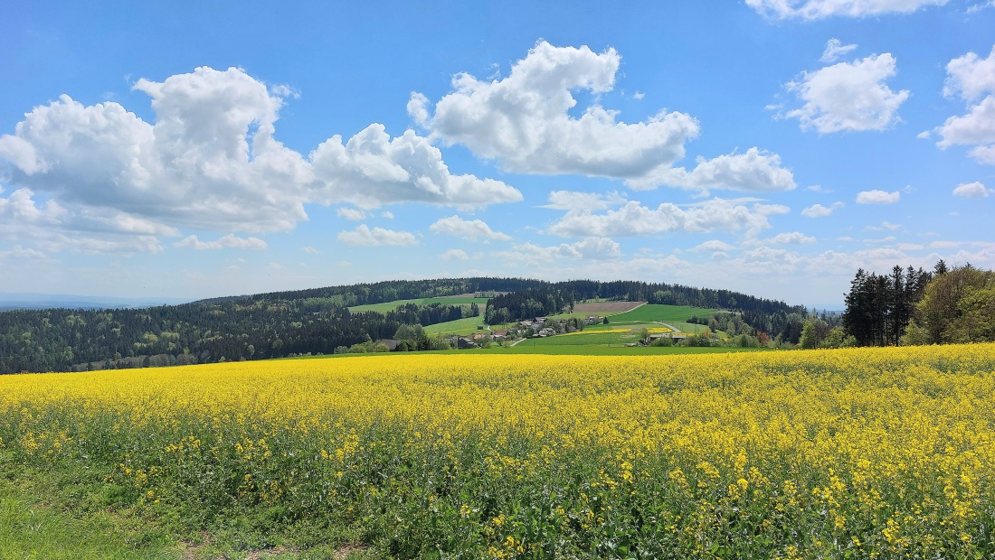 Foto: Martin Zehrer - Ein herrlicher Frühlingstag mit ca. 24 Grad um 13:00Uhr.<br />
<br />
Später kamen dann Regenwolken, ein kleines Gewitter und eine Temperatur-Absenkung auf ca. 16 Grad. <br />
<br />
Blick v 