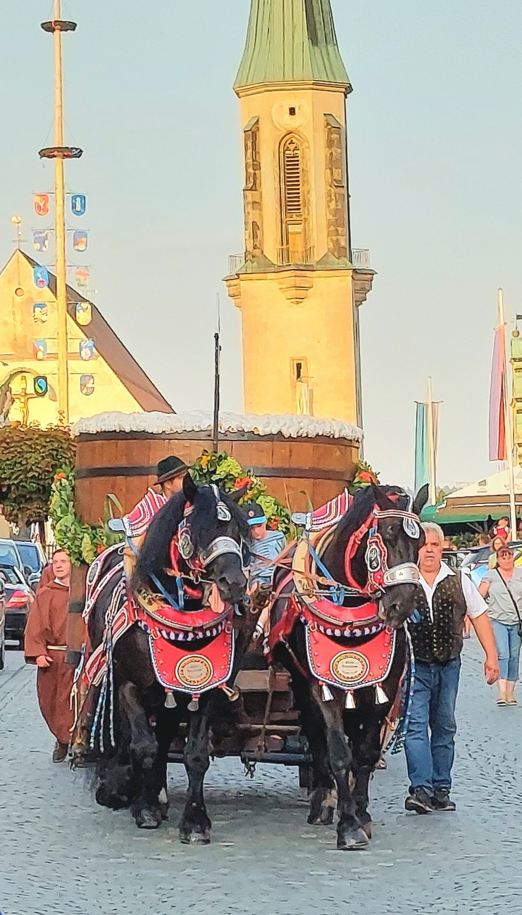 Foto: Martin Zehrer - Der Einzug ins Kemnather Wiesenfest... 