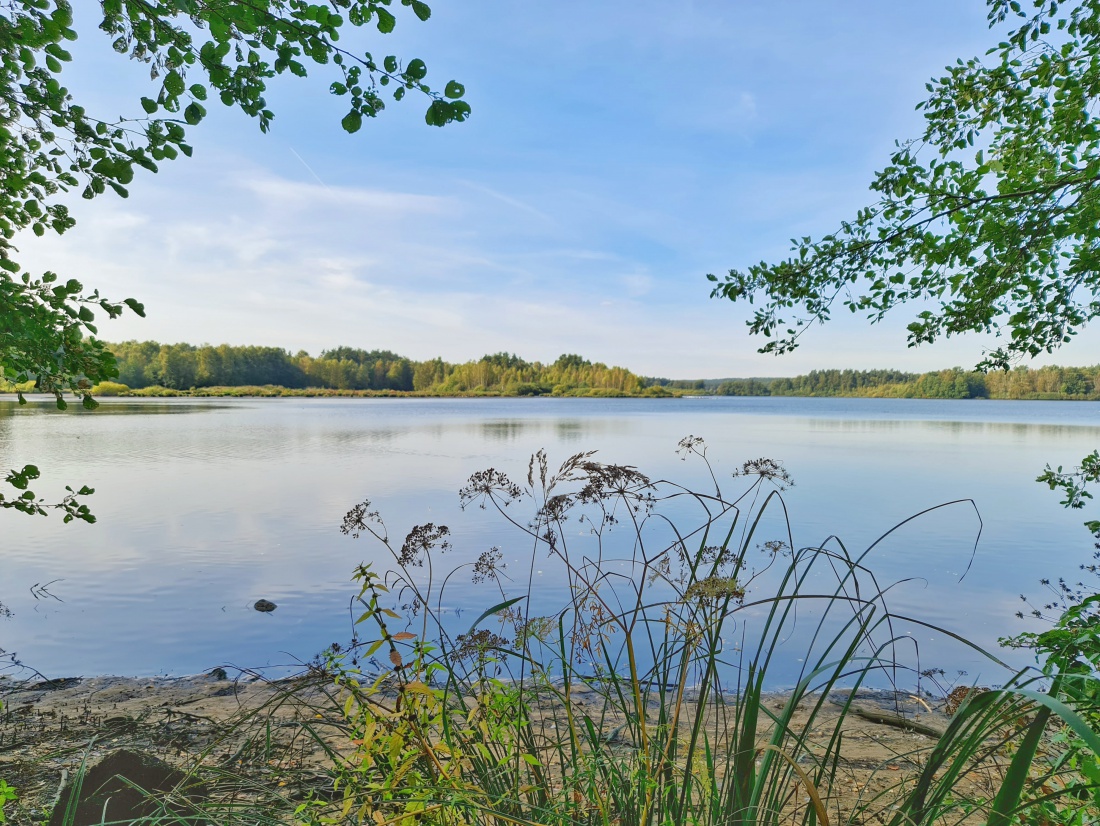 Foto: Jennifer Müller - Der Obersee (großer Rußweiher) in Eschenbach. Ein sehr sehenswertes Naturschutzgebiet in der Oberpfalz mit vielen verschiedenen Vogelarten und einer großartigen Landschaf 