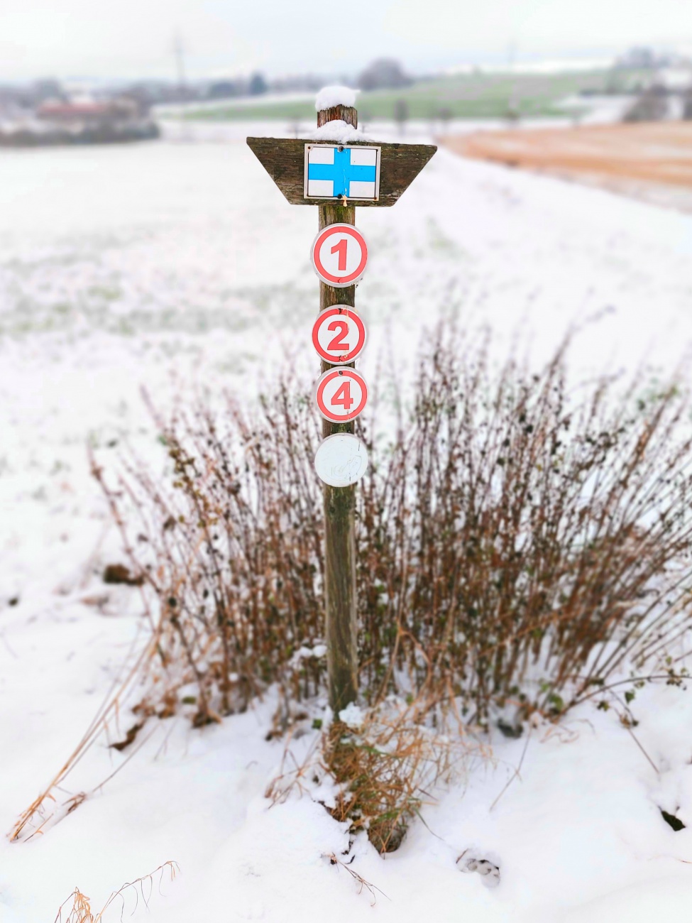 Foto: Martin Zehrer - Kleine Winter-Wanderung bei Kemnath... 