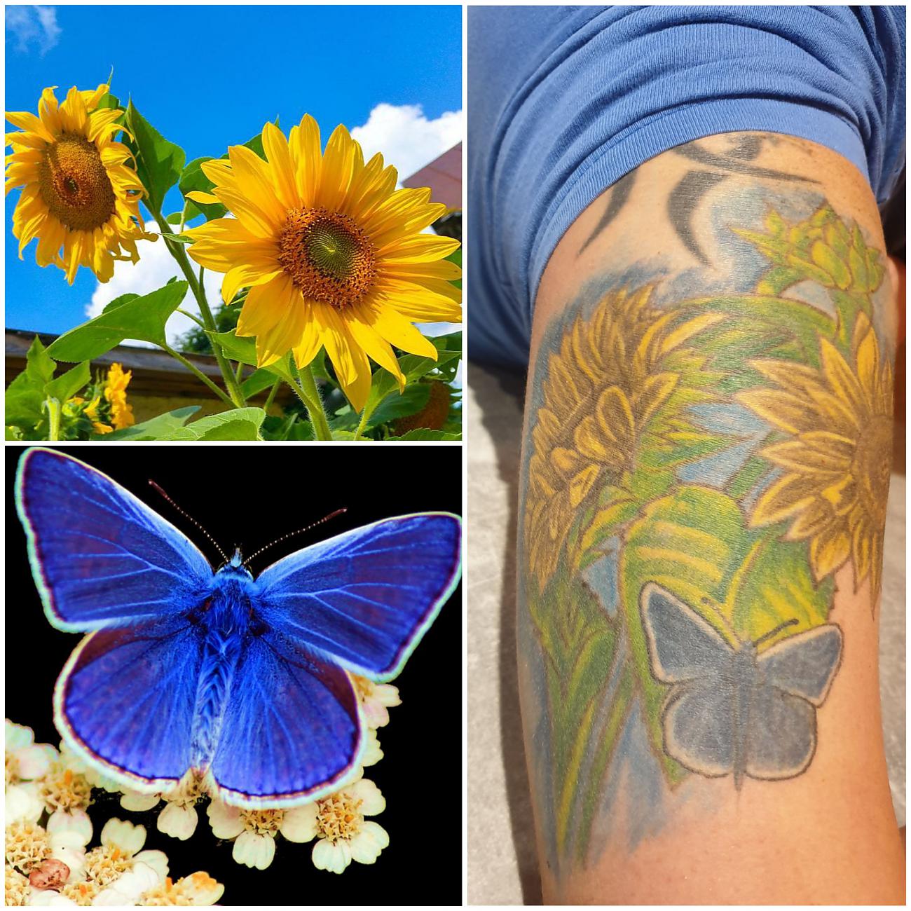 Foto: Martin Zehrer - Links die originalen Bilder als Vorlagen und rechts im Bild das wunderschöne Ergebnis in Form eines detaillierten Tattoos...  <br />
 
