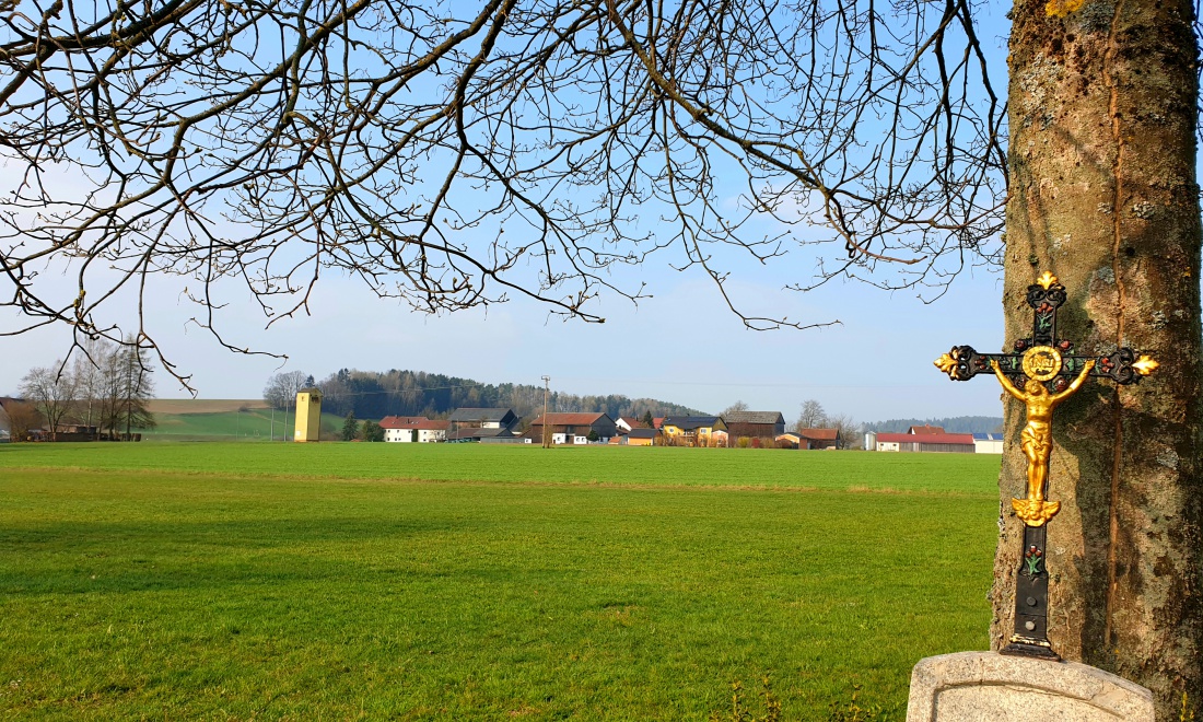 Foto: Martin Zehrer - Bei Oberbruck in der Morgensonne... 