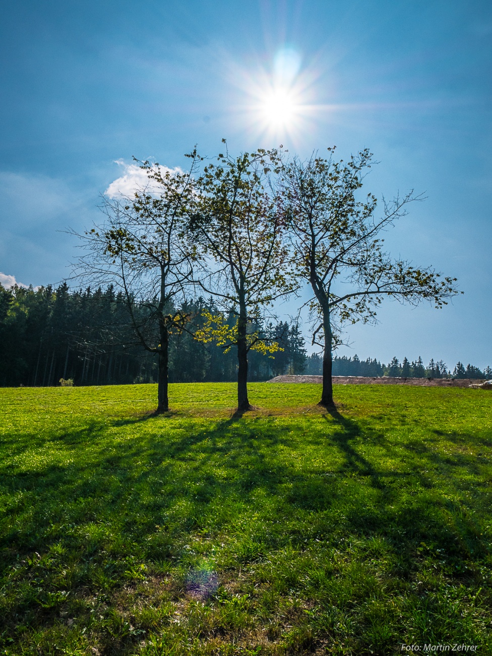Foto: Martin Zehrer - Immerwieder wunderschön! Diese drei Bäume auf Augusts Wiese waren früher schon von mir fotografiert worden. <br />
<br />
28. September 2018 