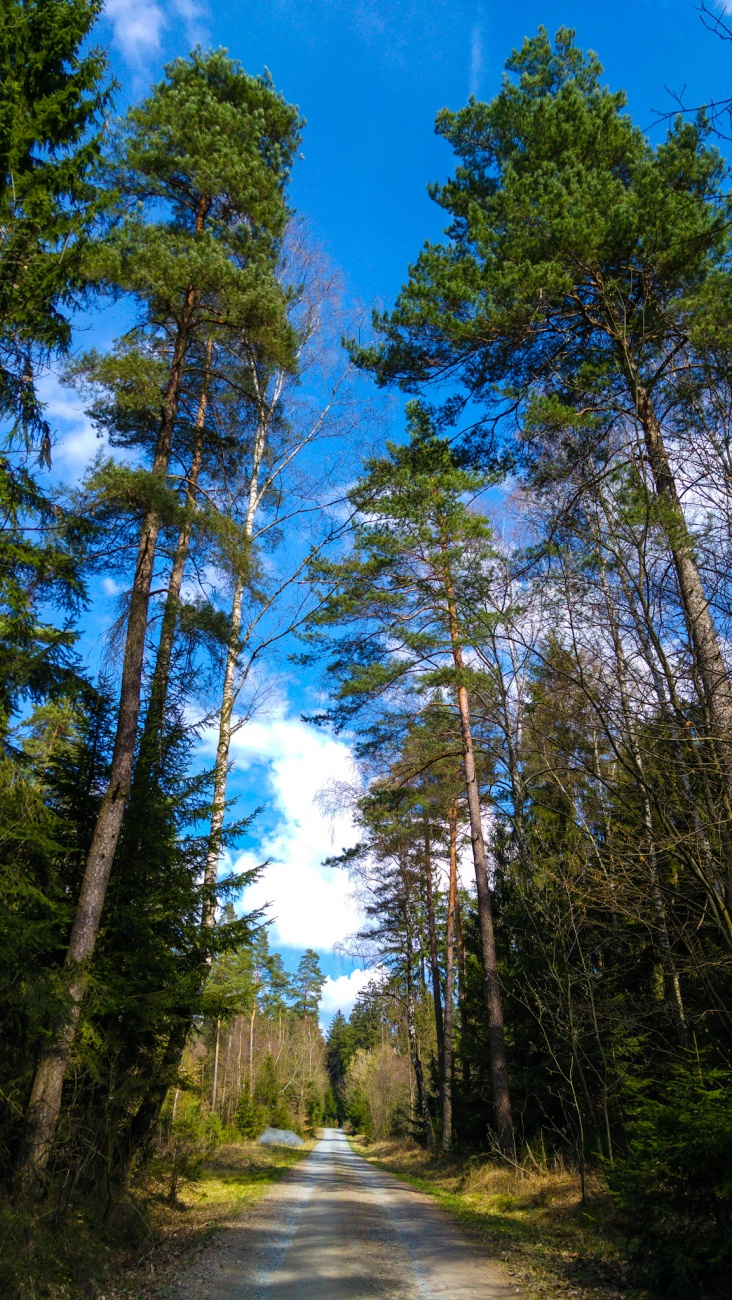 Foto: Martin Zehrer - Wanderung von Kemnath zum Armesberg... Herrliches Wetter am 1. April 2017 