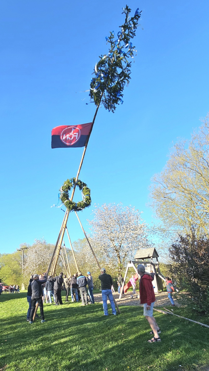 Brauchtum... Maibaum Aufstellen mit purer Manneskraft in Hermannsreuth