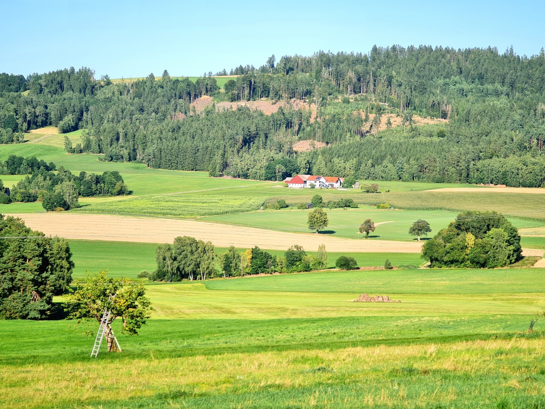 Foto: Maria - Auf dem Weg zum Anzenstein und der herrliche Blick über das wunderschöne kemnather Land 