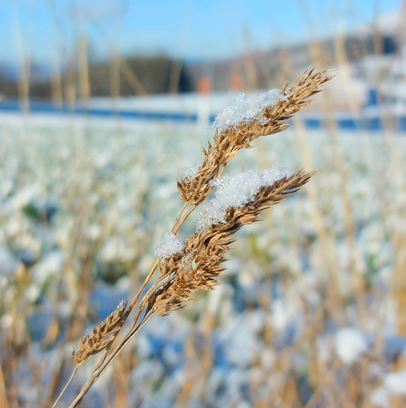 Foto: Martin Zehrer - Endlich wieder ein herrlich sonniger Winter-Tag. <br />
Bei -5 Grad Kälte strahlte die Sonne wirklich voller Energie vom blauen Himmel. 