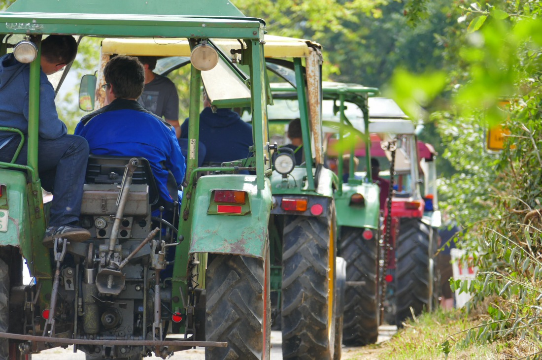 Foto: Martin Zehrer - Traktortreffen 2016 in Oberwappenöst<br />
Trotz Regen am Vormittag kamen an diesem Sonntag ca. 120 Oldtimer-Bulldogs und unzählige Besucher. Zum Mittag hin klarte das Wetter  