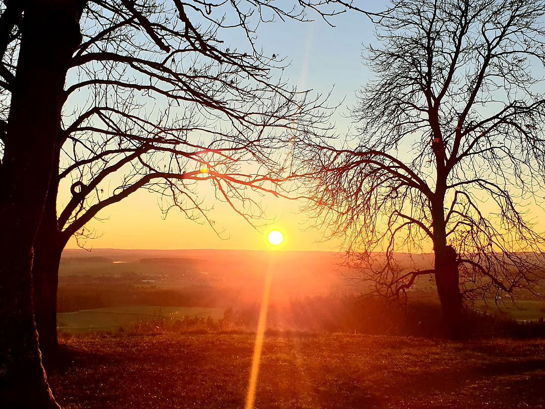 Foto: Martin Zehrer - 6. November 2020 und die Sonne schien den ganzen Tag.<br />
Von gestern auf heute in der Nacht sanken die Temperaturen auf ca. - 3 bis - 4 Grad. Alles war angefrohren und weiß 