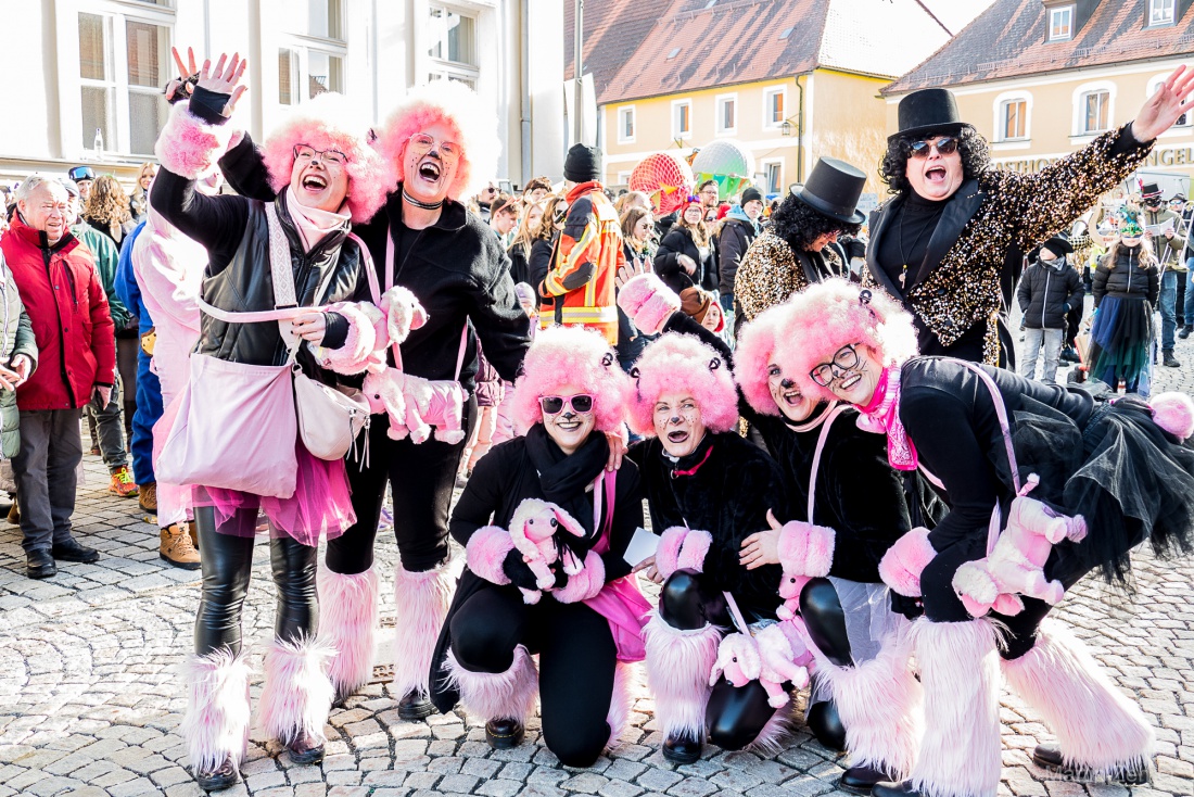 Faschingszug durch Waldeck 2026 - WCV Helau!!!

Am 15. Februar 2026 war es wieder soweit. Tausende Besucher jubelten den Narren zu, das Wetter wurde wie bestellt, wunderschön. Die Sonne strahlte und alle Menschen waren voller Faschings-Laune. WCV Helau!!!!
