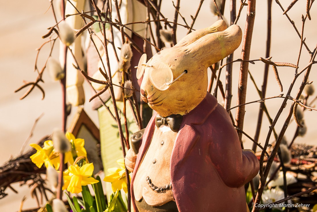 Foto: Martin Zehrer - Er schaut in den Frühling - Osterhäschen in Neusorg am Osterbrunnen 