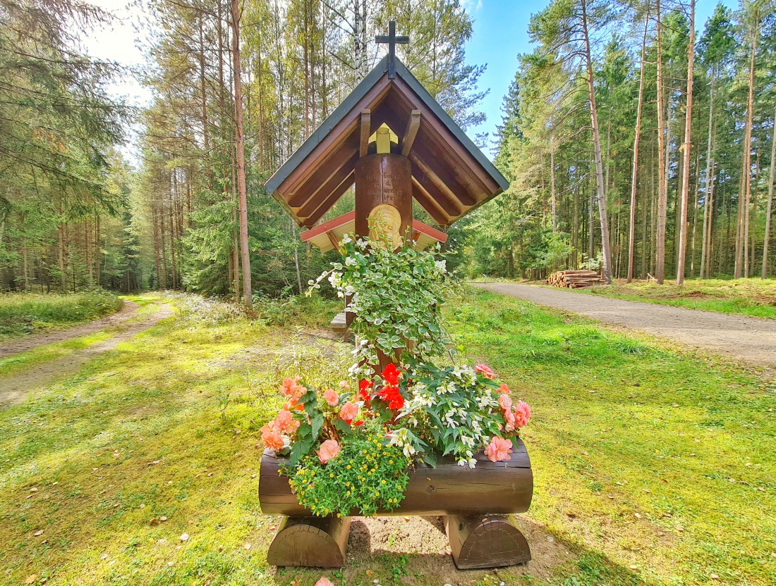 Foto: Jennifer Müller - Der Obersee (großer Rußweiher) in Eschenbach. Ein sehr sehenswertes Naturschutzgebiet in der Oberpfalz mit vielen verschiedenen Vogelarten und einer großartigen Landschaf 