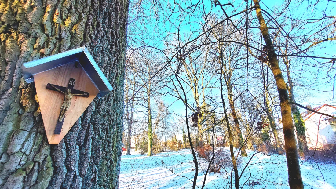 Foto: Martin Zehrer - BRK-Park in Kemnath... 